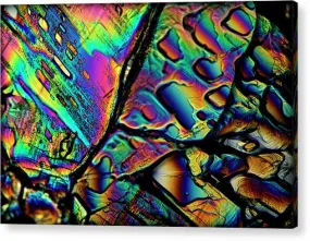 Blithe - Acrylic Print