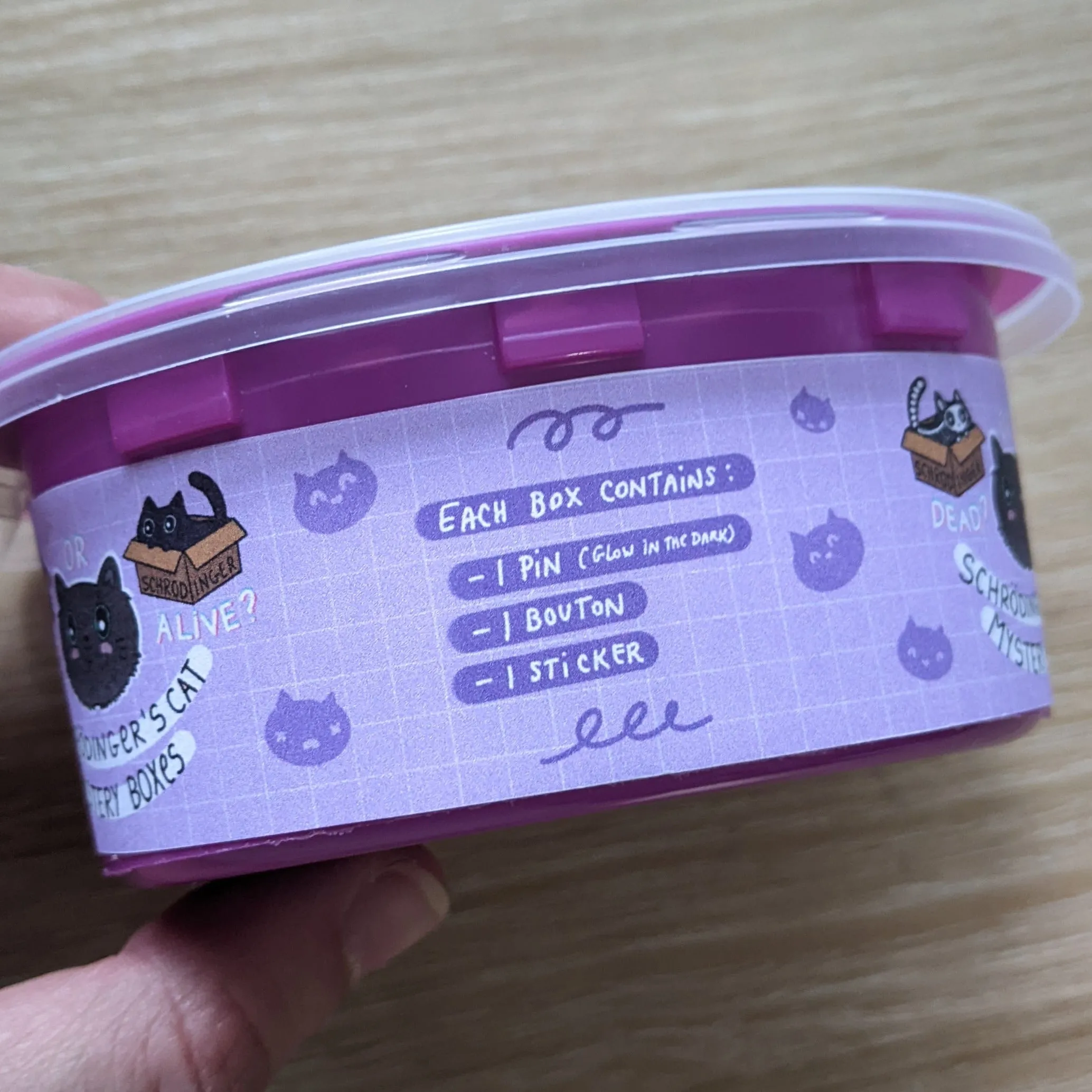 Schrödinger's Cat Mystery Pin Box