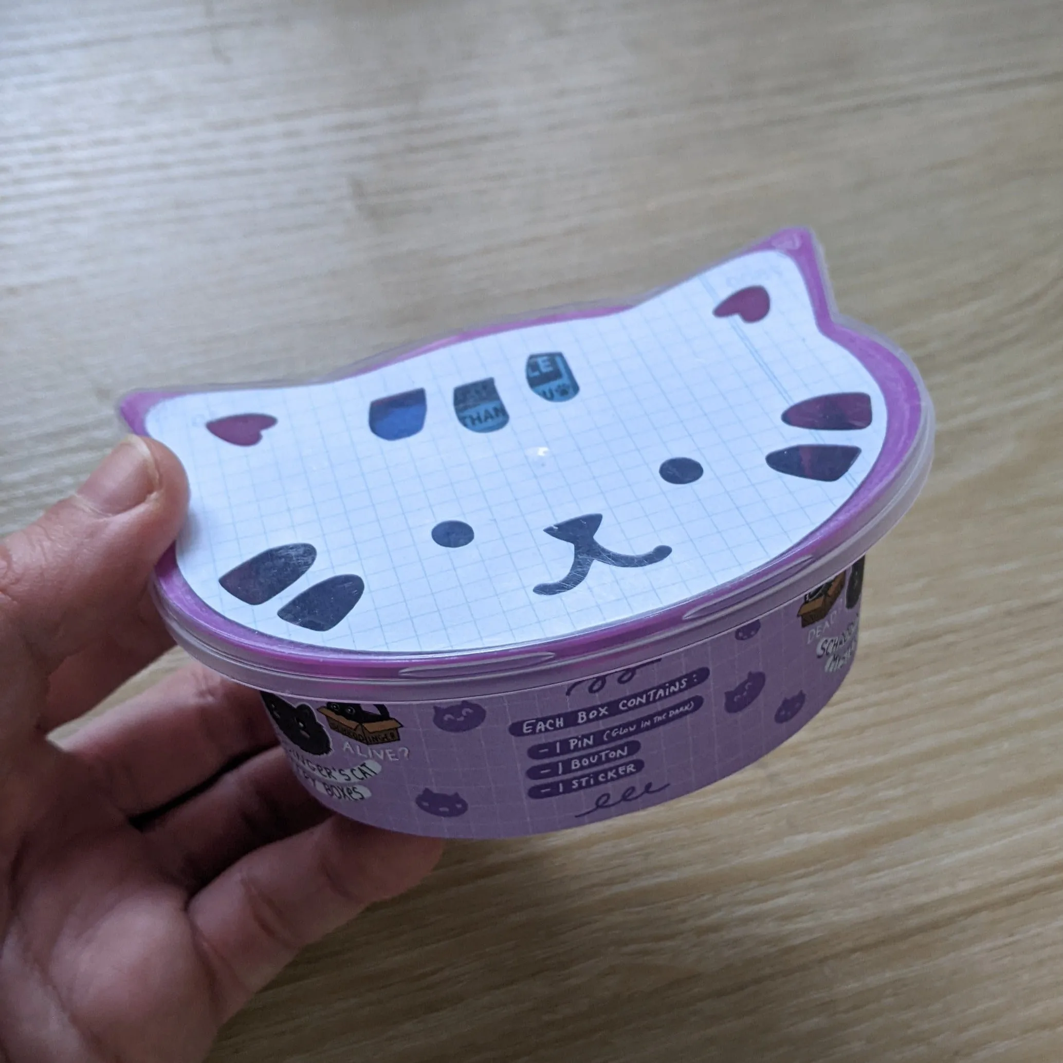 Schrödinger's Cat Mystery Pin Box