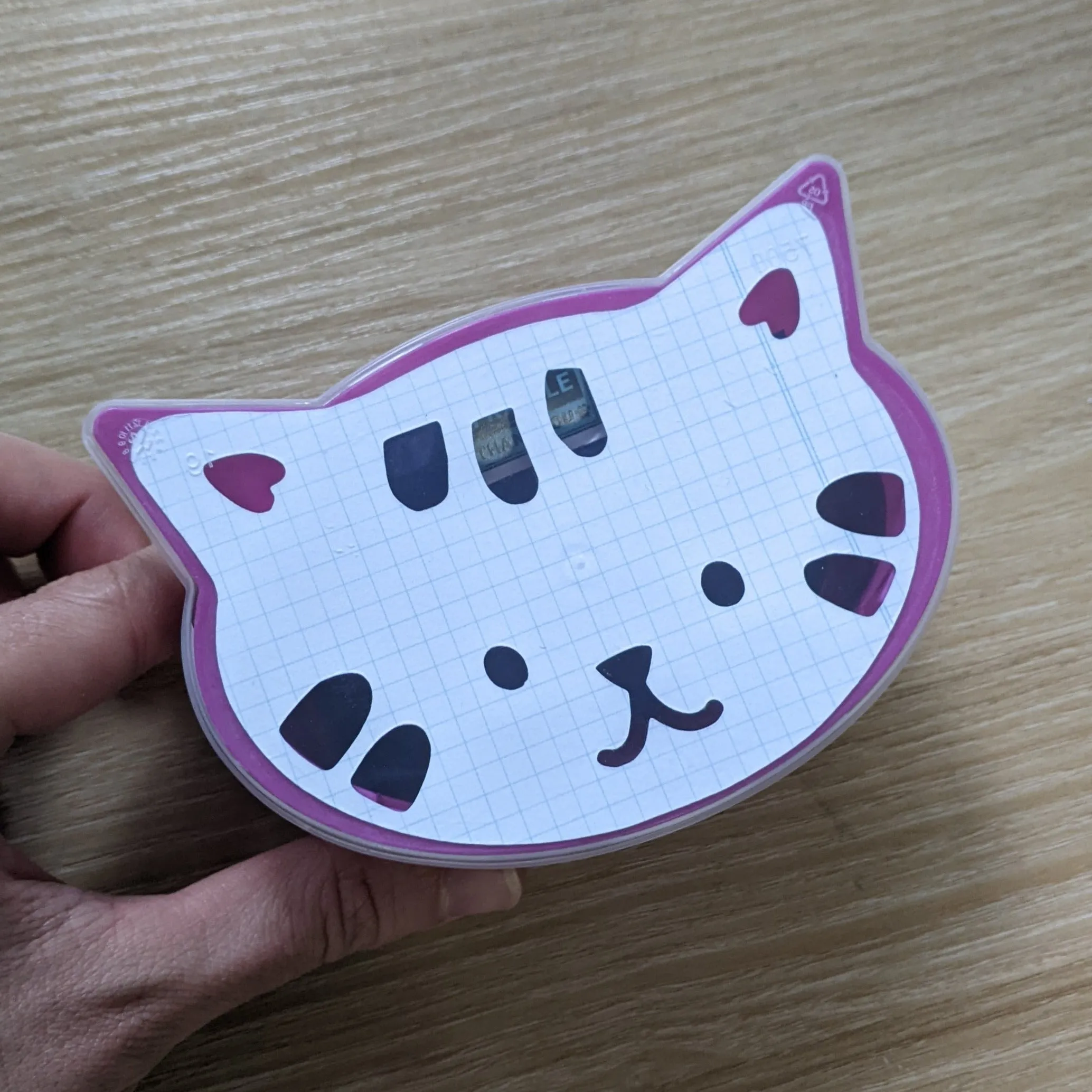 Schrödinger's Cat Mystery Pin Box