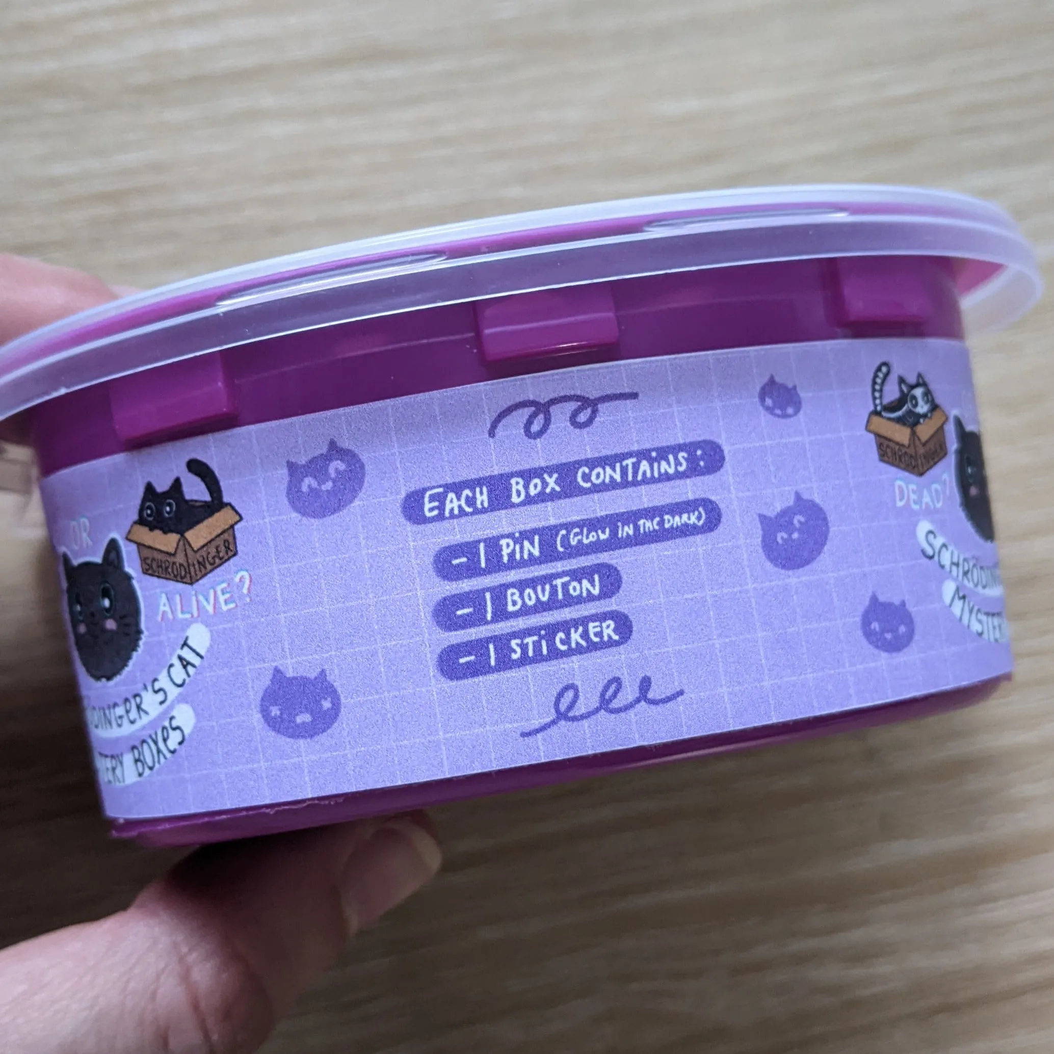 Schrödinger's Cat Mystery Pin Box